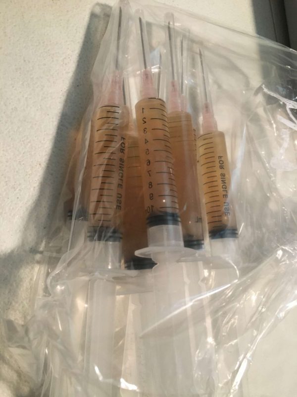 Image of Liquid Culture of various mycelium in syringe.